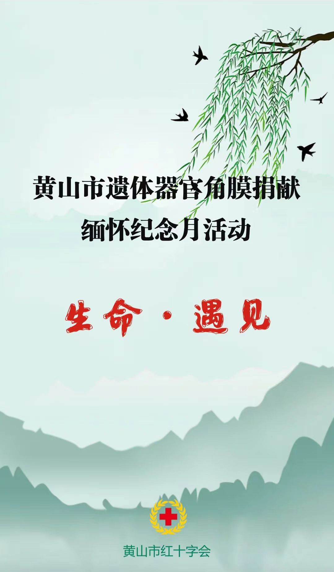 生命·遇见——市红十字会开展云端缅怀